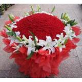 鲜花:99枝红玫瑰，满天星，白色塑料纸包装，圆形花束......（特价鲜花限送市一级）