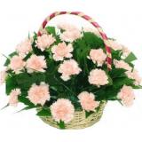 鲜花:30支浅粉色康乃馨，鱼尾草丰满，花篮