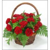 鲜花:红色康乃馨22枝，芒叶搭配。下面为花篮，内有保鲜花泥。加配蝴蝶结。