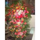 花篮:百合花，各色太阳花，散尾叶双层商业花架，一对花架。高度1.6米