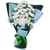 菊花:白菊花17枝，白色多头香水百合1枝，巴西木做结，手柔纸包装