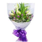郁金香:1枝多头香水白百合,18枝红康乃馨,绿叶间插，白色玻璃纸,紫色绵纸圆形包装