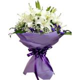 鲜花:12枝多头白百合，加紫色勿忘我，满天星点缀，紫色手柔纸高档包装