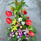 花篮:红玫瑰6枝，水晶草、手揉纸、红色丝带花（特价鲜花，限送市区范围）