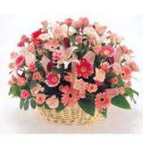 鲜花:多头白百合18枝，粉纱，手揉纸包装，此花请尽量提前预定