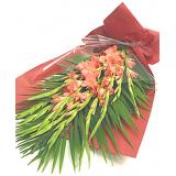 鲜花:剑兰10枝，散尾，红色手揉纸包装。