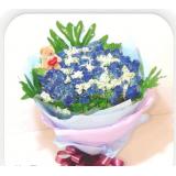 鲜花:蓝玫瑰99枝，叶上花搭配，绿叶，送可爱小熊一只，时尚包装