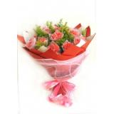 康乃馨:22枝红玫瑰，栀子叶，手揉纸双层包装，时尚的宽丝带花结，造型简洁大方