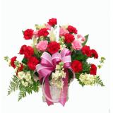 鲜花:20枝红康乃馨,8枝粉玫瑰，2枝多头白百合，金鱼草，绿叶搭配，手提花篮