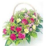 鲜花:粉玫瑰19枝，配黄莺和绿叶，手揉纸单面包装，送小熊一只