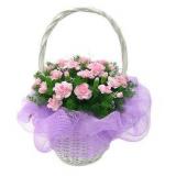 鲜花:粉色香水百合(多头)5枝,红玫瑰16枝,绿叶间插，巧妙布局后置于花瓶中. 