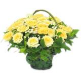 鲜花:黄玫瑰11枝，配花适量，黄莺点缀，绵纸圆形包装