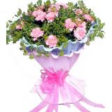 鲜花:康乃馨22支,绿叶丰满。淡蓝色卷边纸内衬，外层用淡粉色卷边纸包装。粉色丝带打结，圆形花束 