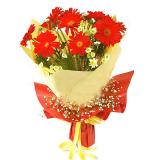 鲜花:9枝红色非洲菊里圈外层是9枝粉色非洲菊和9 枝黄色非洲菊+配花+绿色的皱纹纸圆形包装+黄色的丝带