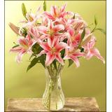 鲜花:粉色香水百合（多头）8枝，采用玻璃花瓶