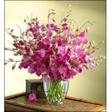鲜花:紫色洋兰28枝，置于经典玻璃花瓶中，让你的情意长久绽放（此花需预定）。