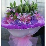 鲜花:11枝多头粉色百合，幸福草，绿叶。紫色纱网，紫色、粉色卷边纸圆形包装。粉色宽丝带蝴蝶结。