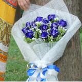蓝玫瑰:11支蓝玫瑰，黄莺扇形，蓝色包装
