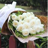 白玫瑰:99朵红玫瑰、绿叶或小草花间插，内层透明纸+外围卷边纸，多层丝带。