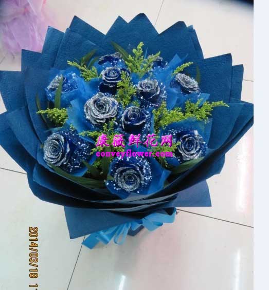11支蓝色玫瑰——蓝色妖姬——康薇鲜花网